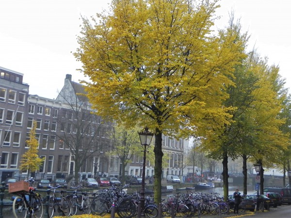 Amsterdam
