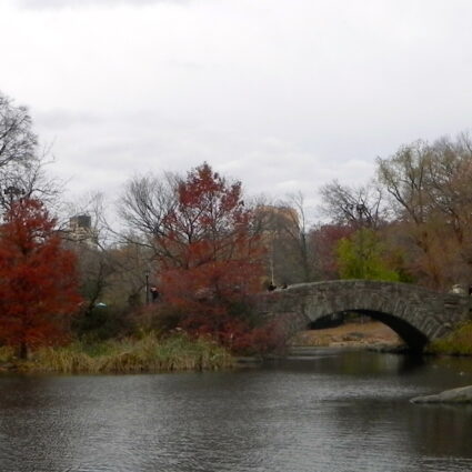 Central Park no outono – quando a Big Apple se enche de cor