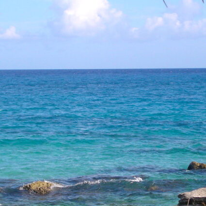 Xcaret para quem viaja com crianças