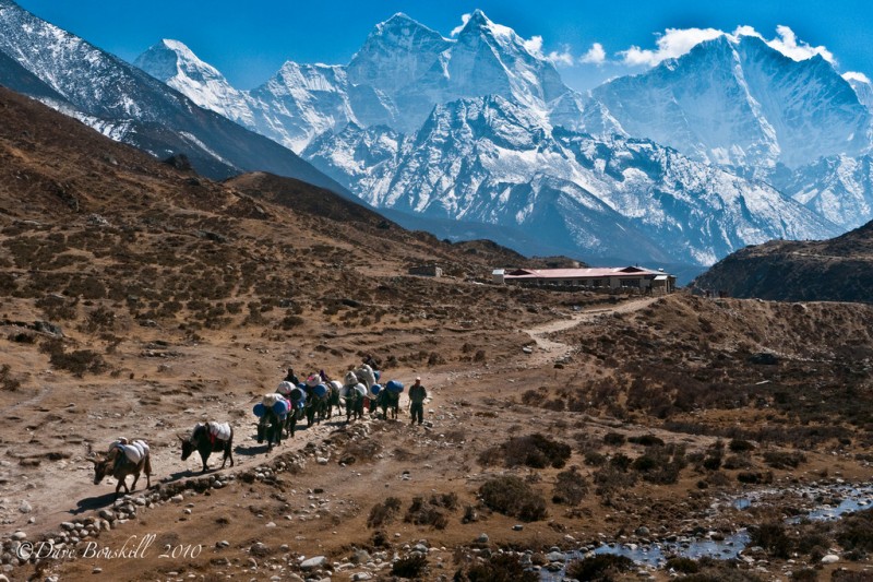 nepal6
