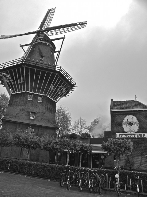 DSCN5426