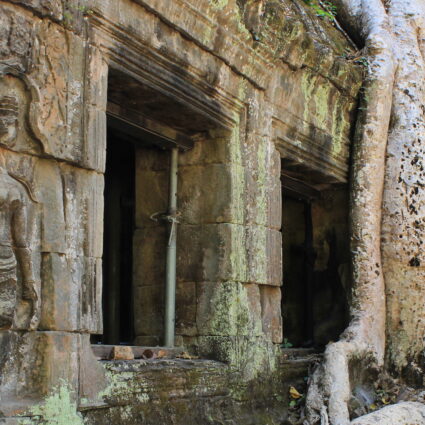 Templos de Angkor: conhecendo o Ta Prohm