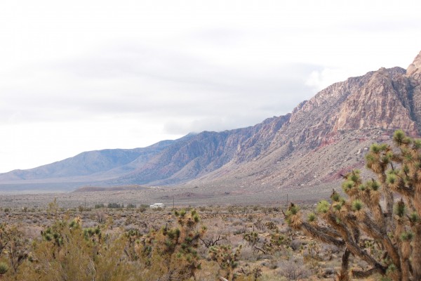 Red Rock Canyon 