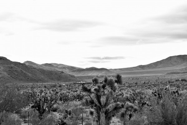 Red Rock Canyon 