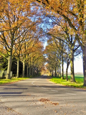 La Trappe