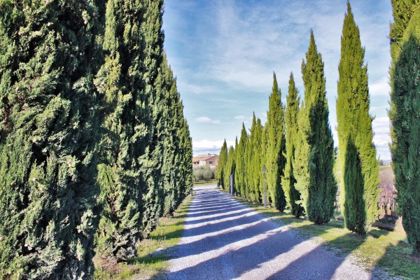 Pienza, Val d´Orcia, Tuscany