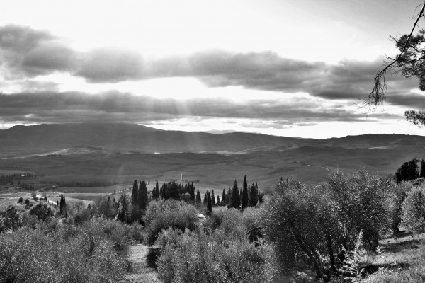 Montepulciano, Val d´Orcia, Tuscany