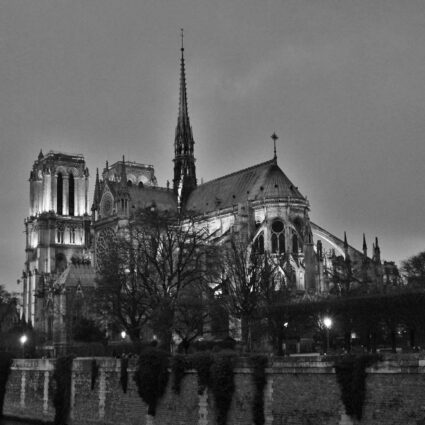 Paris do alto: subindo ao topo da Catedral Notre Dame