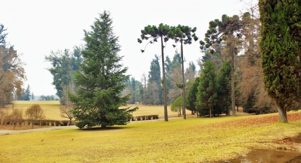 Concha y Toro, Chile