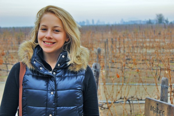 Concha y Toro, Chile