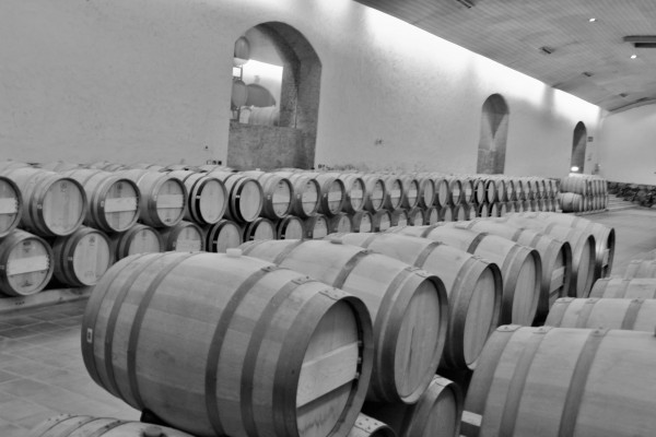 Concha y Toro, Chile