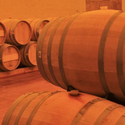 Concha y Toro: degustação e tour na maior vinícola do Chile