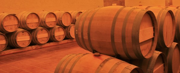 Concha y Toro, Chile