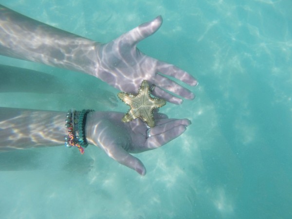Palm Beach, Aruba