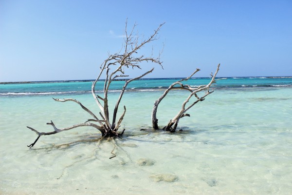 Baby beach, Aruba