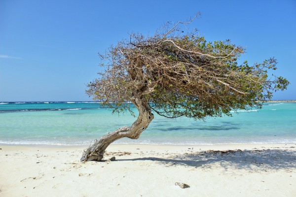 Baby beach, Aruba