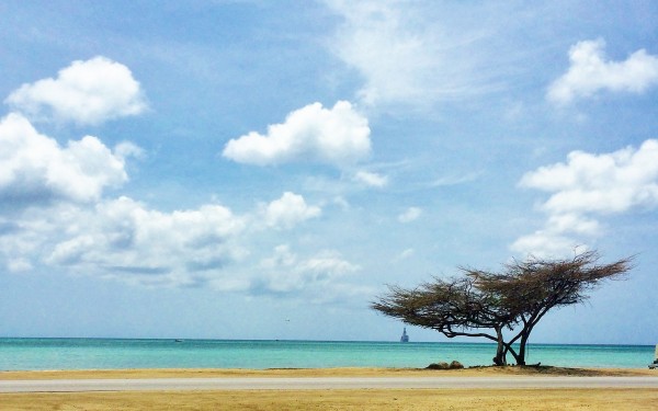 Malmok beach, Aruba 