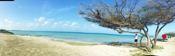 Malmok beach, aruba 