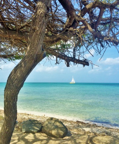 Malmok beach, Aruba