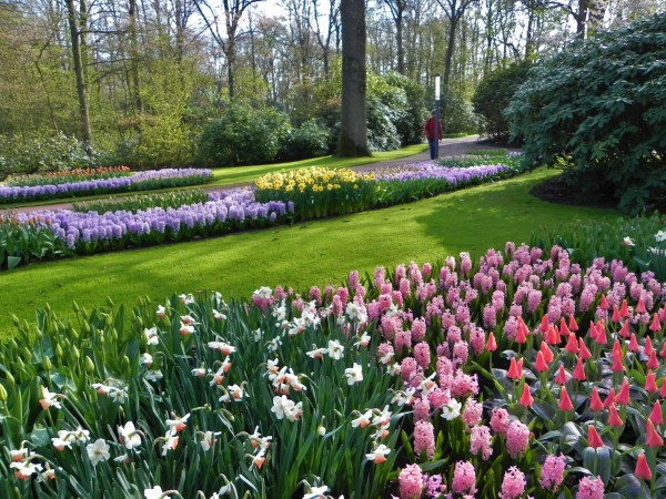Keukenhof
