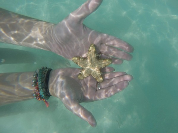 Eagle beach, Aruba