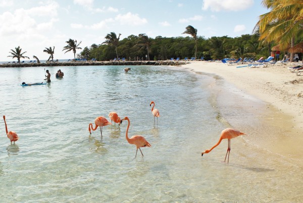 Renaissance Aruba