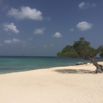 Dicas de Aruba: o (incrível) azul da Eagle Beach
