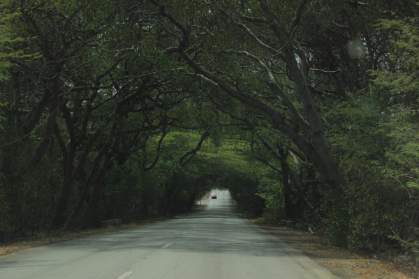 Estrada na ilha