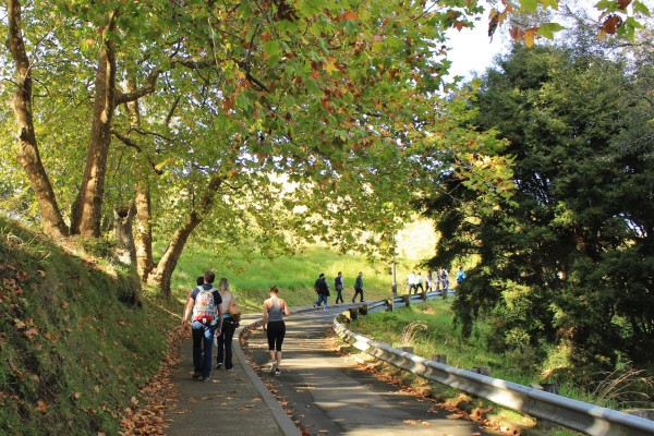 Mount Eden, Auckland