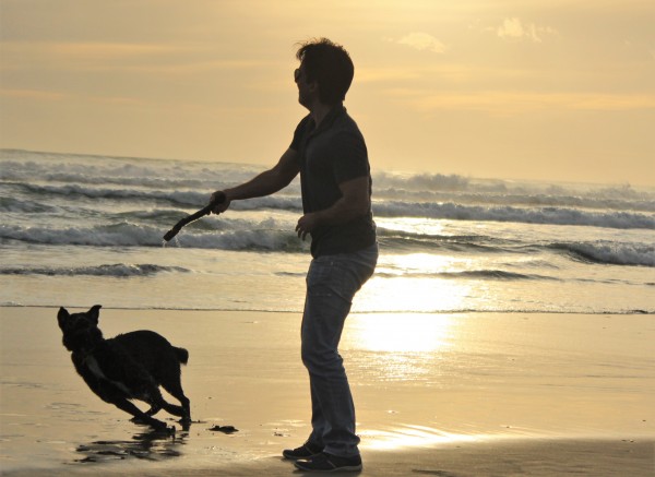 Piha beach, New Zealand 