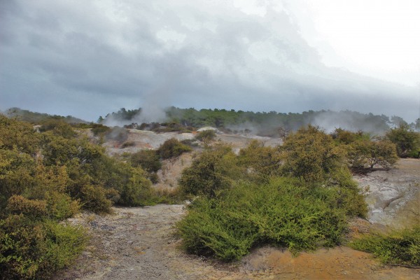 Rotorua