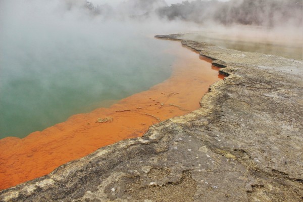 Rotorua