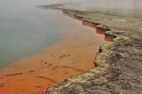 Rotorua