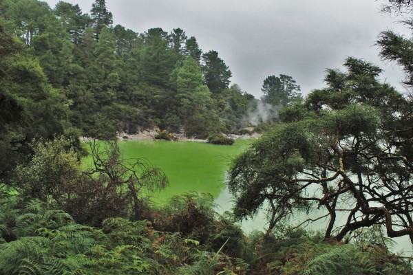 Rotorua