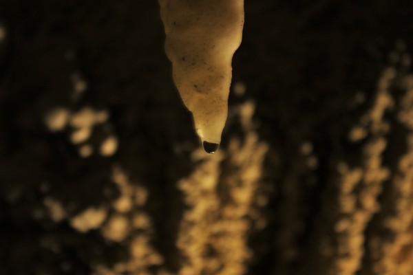 Waitomo cave
