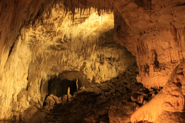 Waitomo cave