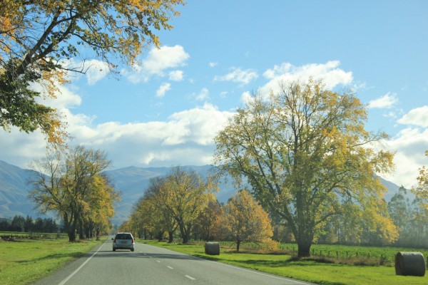 South Island, New Zealand