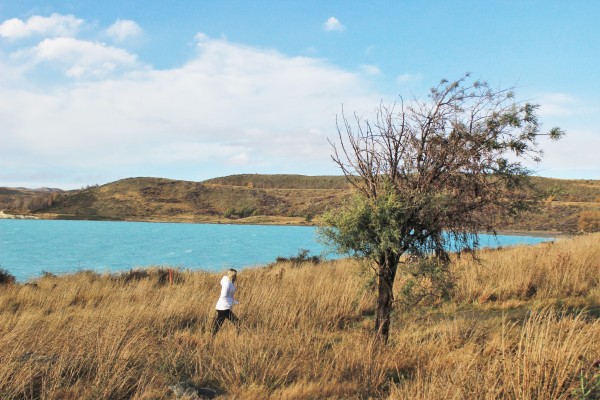 Lake Tekapo, New Zealand