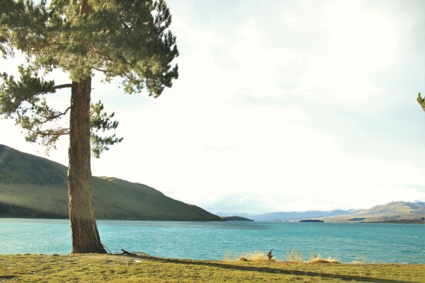 Lake Tekapo, New Zealand