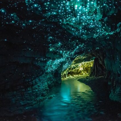 Glowworm, a surpreendente e brilhante caverna em Waitomo, na Nova Zelândia
