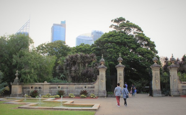 Royal Bothanic Garden, Sydney, Australia