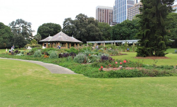 Royal Botanic Garden, Sydney