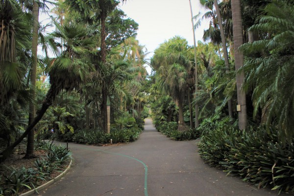 Royal Botanic Garden, Sydney