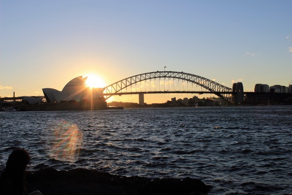 sunset in Royal Botanic Garden, Sydney