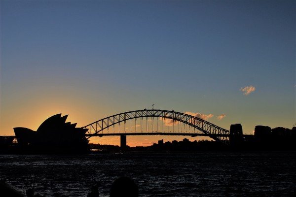 sunset in Royal Botanic Garden, Sydney