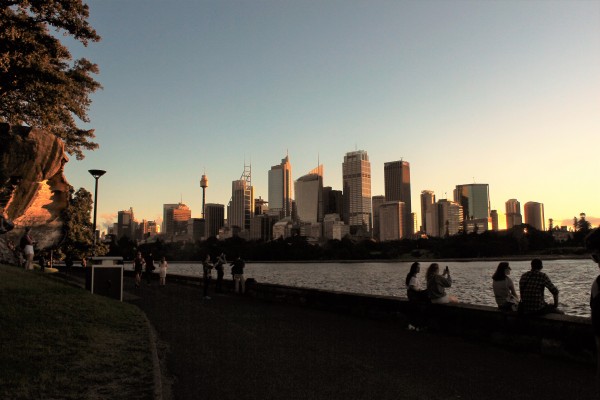 sunset in Royal Botanic Garden, Sydney