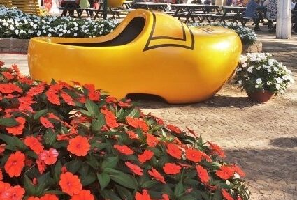 Conheça a Expoflora, a famosa exposição de flores que traz um pouco da Holanda para o Brasil