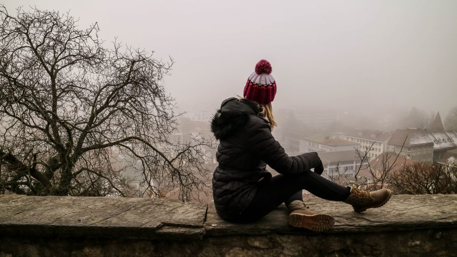 mala de inverno