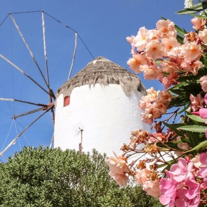 Mykonos: 7 coisas para fazer na badalada ilha grega